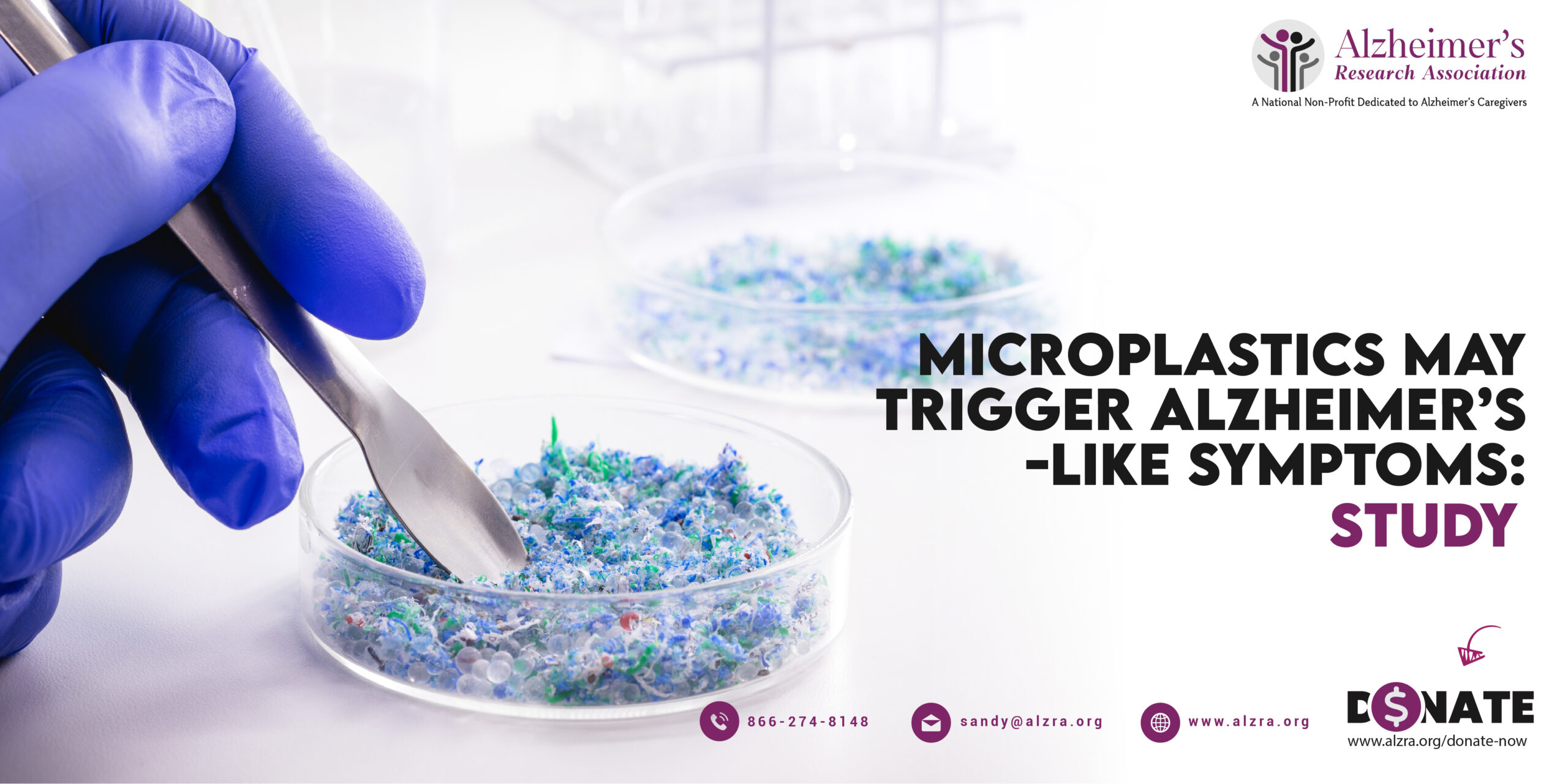 Microplastics May Trigger Alzheimer’s-like Symptoms