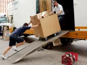 4b4b9d8c000000000090d7d6 article pic