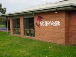 Keysborough Veterinary Practice