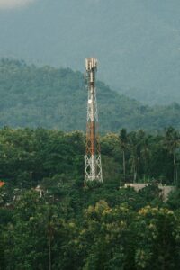 Wireless Network Services