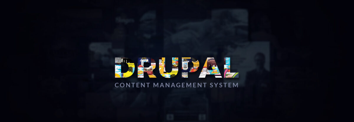 drupal agency toronto