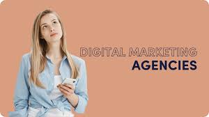 Digital Marketing Agency vs. In-House Team for SEO: Which is Better?