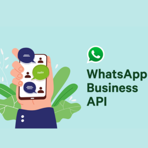 best whatsapp business api provider in india