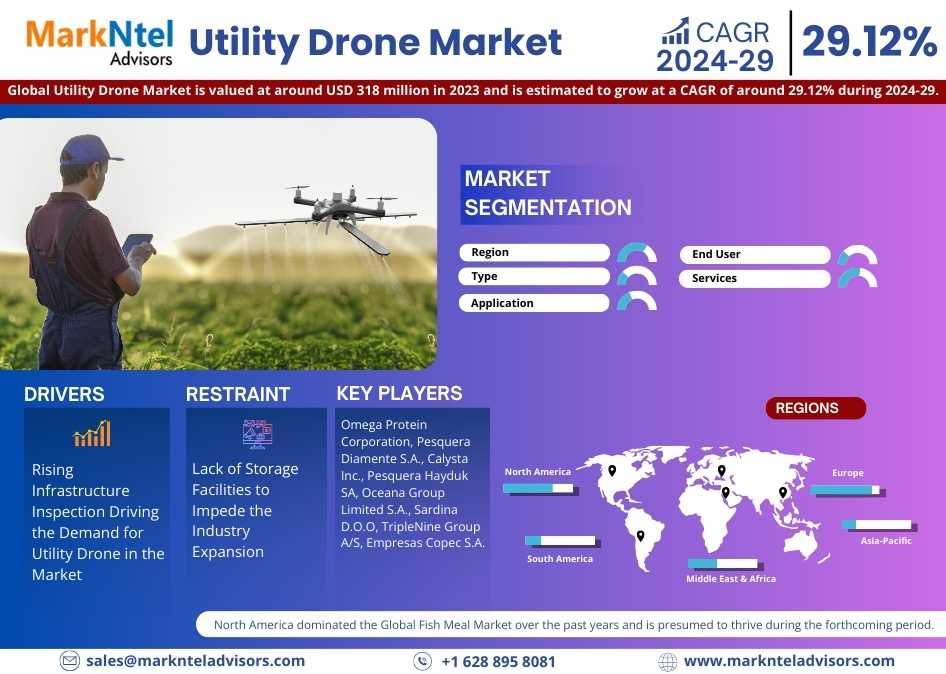 Global Utility Drone Market