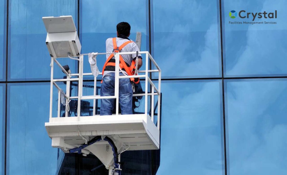 Professionlal Window Cleaning Services