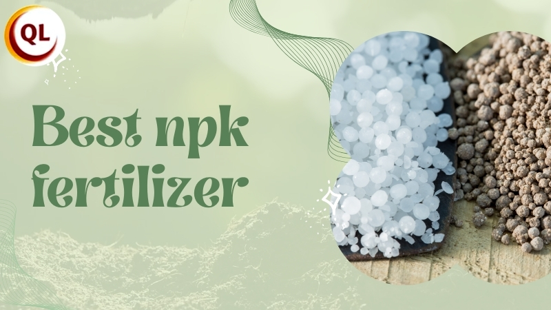 best npk fertilizer