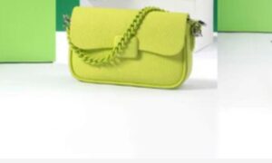 ladies hand bag