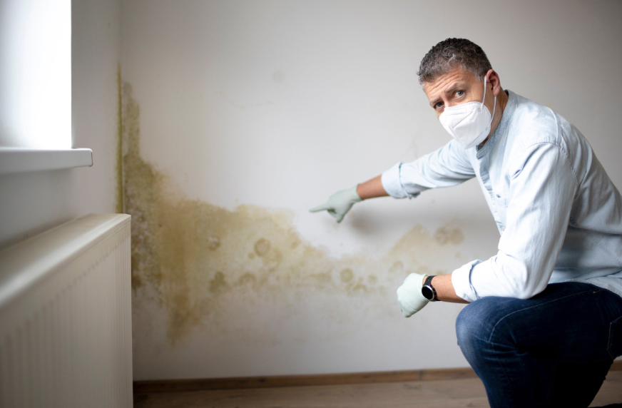 mold damage services ASAP Restoration