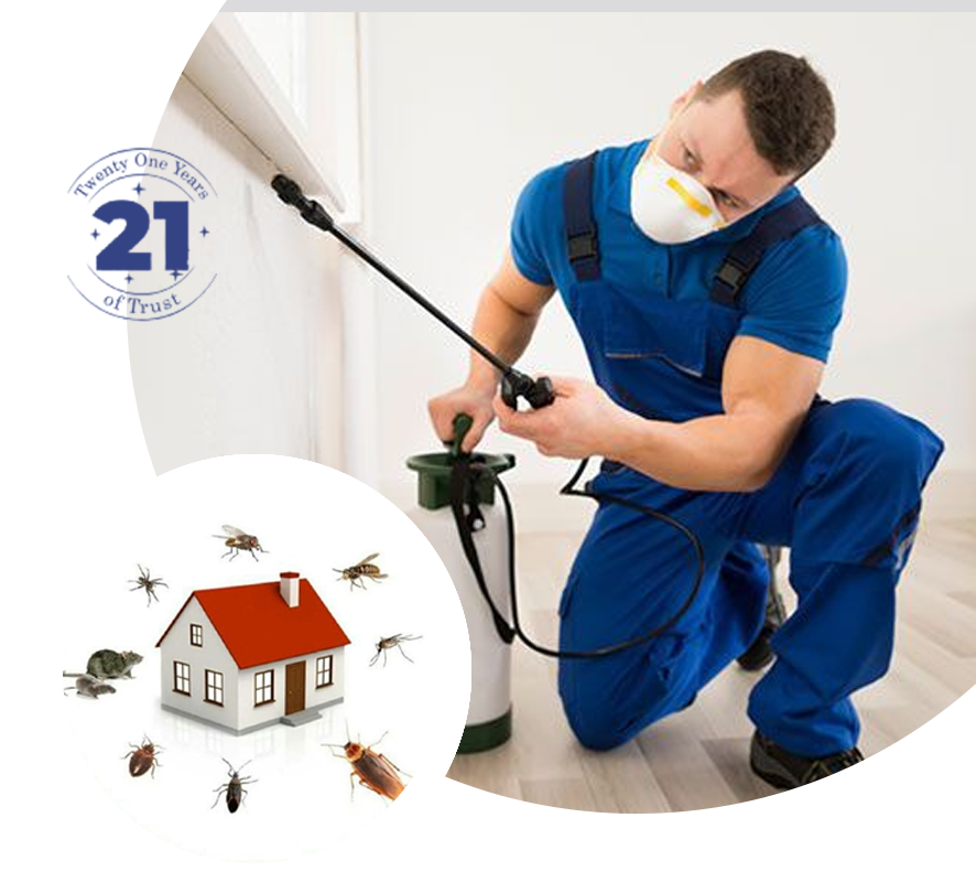Pest Control in Kolkata