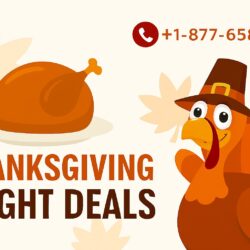+1-877-658-1183 Thanksgiving Flight Deals FlyoGarage