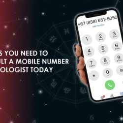 Mobile Number Numerologist