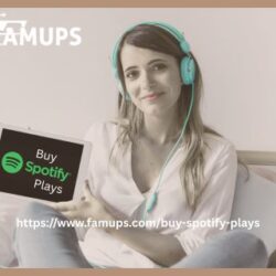 Buy Spotify plays