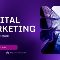 Digital Marketing Course in Chandigarh – ThinkPixel