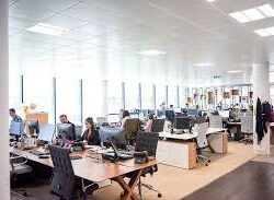 Commercial AV Services