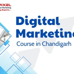 Upskill Your Career with ThinkPixel’s Digital Marketing Course