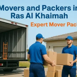 Expert Packers in Dubai