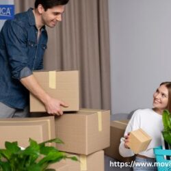 Movers Companies in NJ
