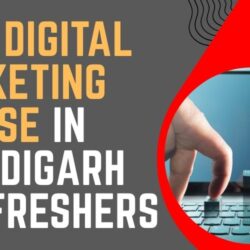 Best Digital Marketing Course in Chandigarh for Freshers