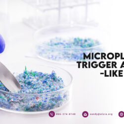 Microplastics May Trigger Alzheimer’s-like Symptoms