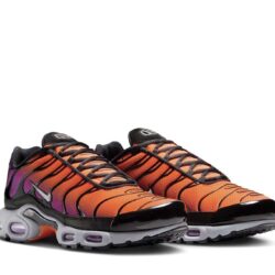 https://pandadunksofficial.us/nike-air-max-plus-desert-sunset/