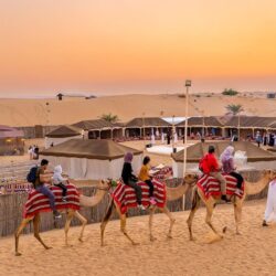 Overnight Desert Safari Dubai