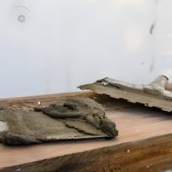 This Wall Texture Trick Made My Living Room Look Like a Designer Space