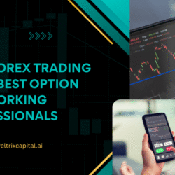 Why Forex Trading is the Best Option for Working Professionals