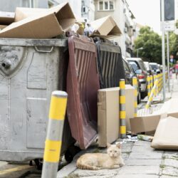 Gogostik: The Ultimate Guide to Effortless Pet Waste Management in 2025