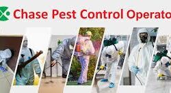 professional pest control services in Toronto