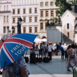 golden triangle tour 5 days