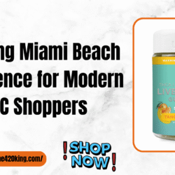 the king miami beach