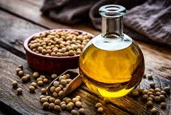 vegetable oil in bulk