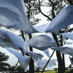 Bemberg Modal Satin Fabric