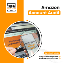 Seller account audit consultants