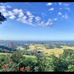 Building and Pest Inspection in Byron Shire