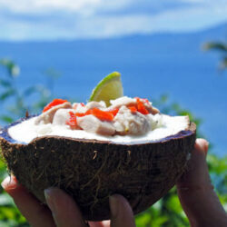 Fiji Food Tourism