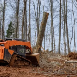 Hinz Logging & Land Clearing