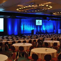 event planner in Al Wasl, Dubai