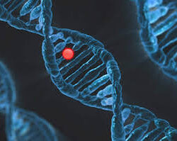 Personalized DNA results