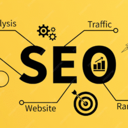 fully managed seo Services