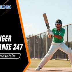 Tiger Exchange 247