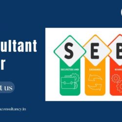 sebi consultants