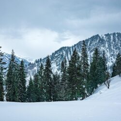 kashmir honeymoon packages