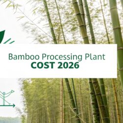 Bamboo Processing Plant Cost