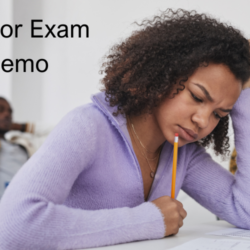 Proctor Exam Demo for Remote Testing What You Should Evaluate