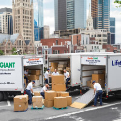 iStock-614446662_resized article pic