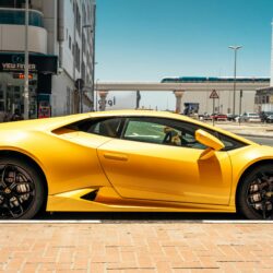 Exotic Cars Dubai