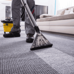 Carpet Cleaning Services