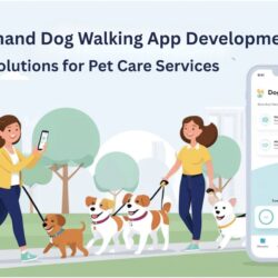 On-Demand Dog Walking App Development Solutions for Pet Care Services