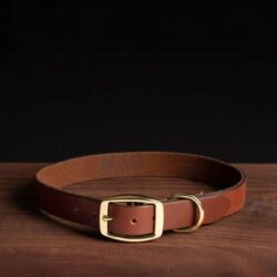 dog collars made in canada
